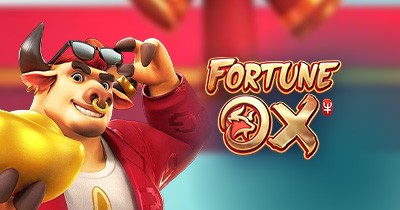 Duelbits Casino